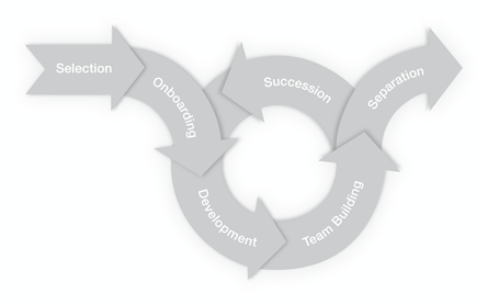 Lifecycle of an employee_Employee Assessment Company Houston_Sandler Training Houston_Sales Training
